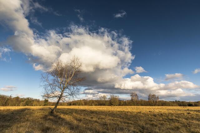 Kampf eines Einzelnen gegen die Kräfte der Natur