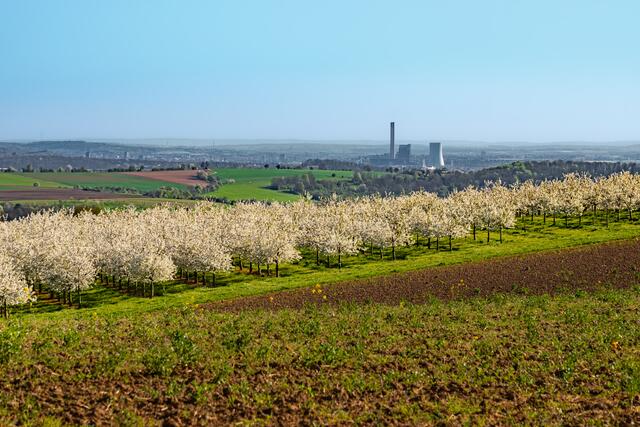 Fernblick von Neudenau über das Heilbronner Land