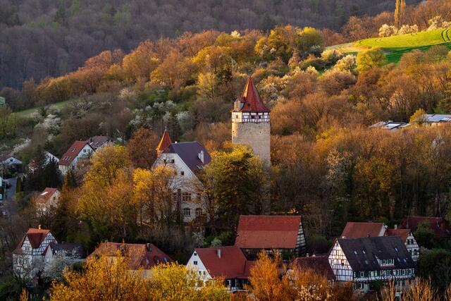 Burg Möckmühl in der Abendsonne