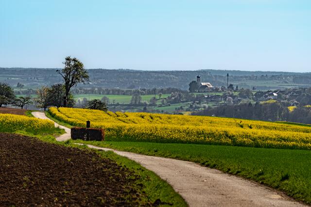 Fernblick oberhalb von Neudenau auf die Wallfahrtskirche Unsere liebe Frau vom Nussbaum