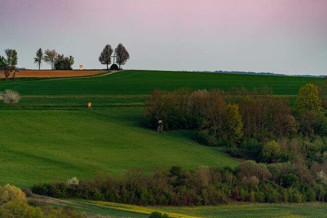 Wegkreuz oberhalb von Herbolzheim