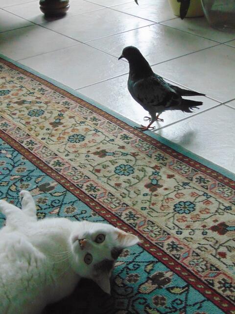 "Mummy, Hilfe! Der Philipp will einfach nicht mit mir spielen!!!"