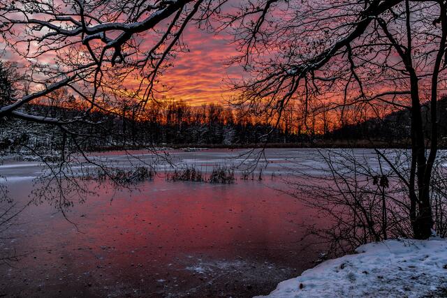Abendglühen am Bleichsee