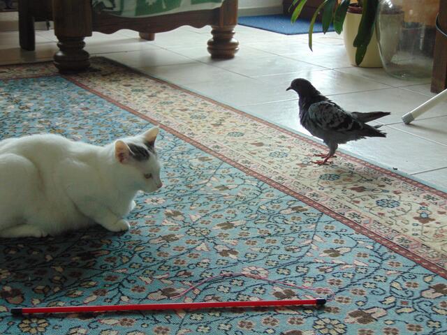 Millys Interesse scheint gar nicht so groß zu sein...