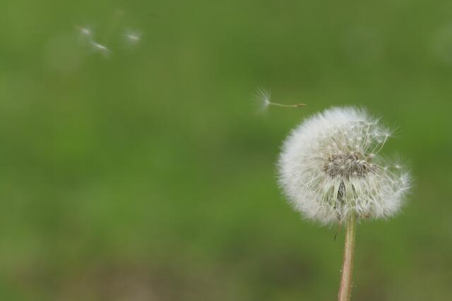 Mit der Kraft des Windes unterwegs