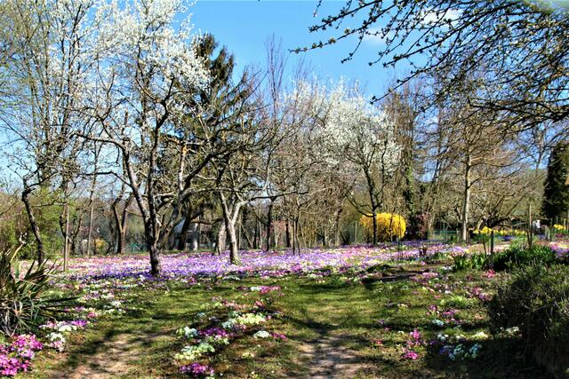 Blühende Gärten bei Heilbronn