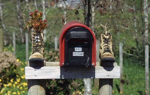 wächst das von selbst oder ist es gesetzt? (außer Konkurrenz)