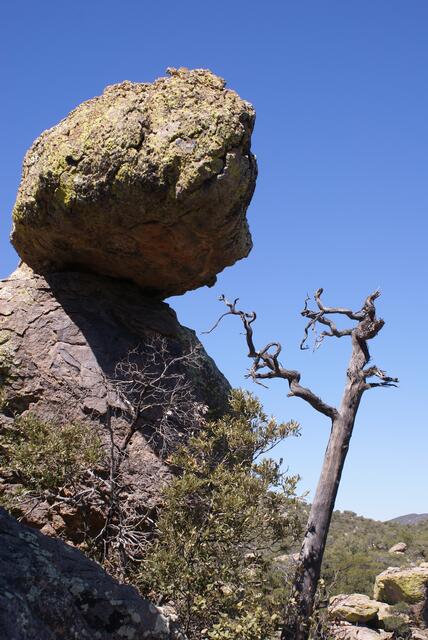 Beethoven, meditierend