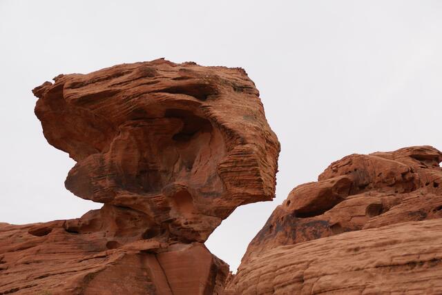man kann sich eine junge Lady vorstellen (außer Konkurrenz)