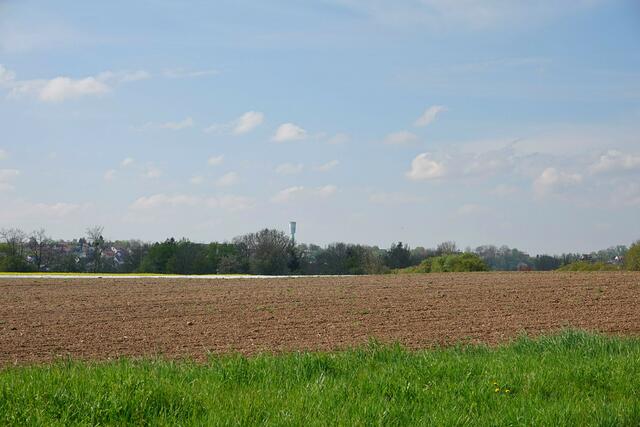 Oedheim