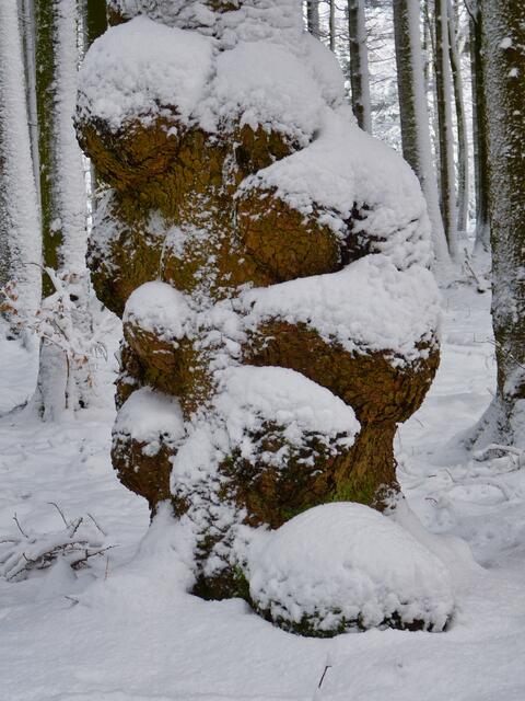 Eng umschlungen im Schnee