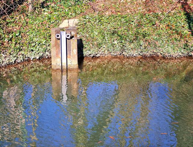 Wächter vom Leinbach