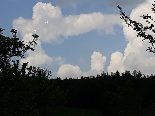 Wolkenbär (mit ein bisschen Nachhilfe)