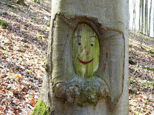 Etwas näher am glücklichen Baum