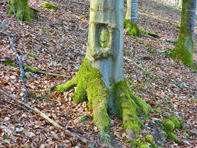 Der fröhliche Baum bei Liebesdorf