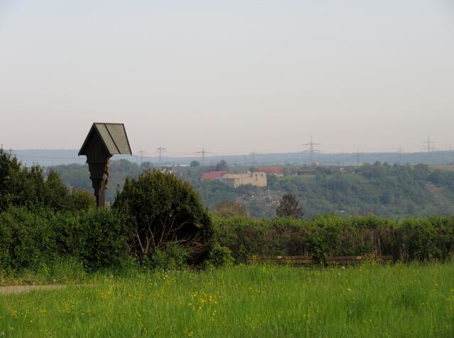 Ersten Hügel erklimmt und schon eine tolle Aussicht auf die Burgruine Altsachsenheim