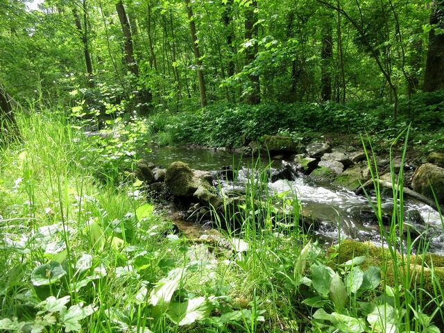 Und mit dieser Aussicht am wilden Bach entlang und immer das Rauschen im Ohr ist einfach herrlich