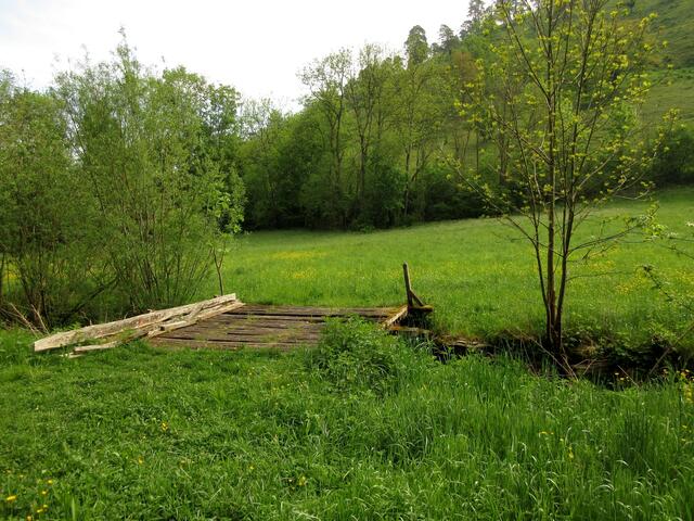 Über diese Brücke sind wir vor einigen Jahren auch schon gewandert, aber nun sieht sie nicht mehr vertrauenswürdig aus. Also weiter.
