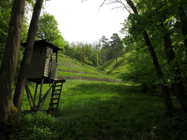 Diesen Ausblick kannte ich auch von früheren Wanderungen, da ich ja immer überall mal hineinsehen muss ;-). Das führte uns dann aber auf einen wilden Pfad, weil man nicht mehr umkehren wollte.