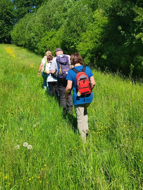 Leider wird der Weg innen im Wald nicht mehr gepflegt und ist verlegt, sodass die Gruppe ein Stück über die Wiese am Waldrand durfte | Foto: Aurelia Kling
