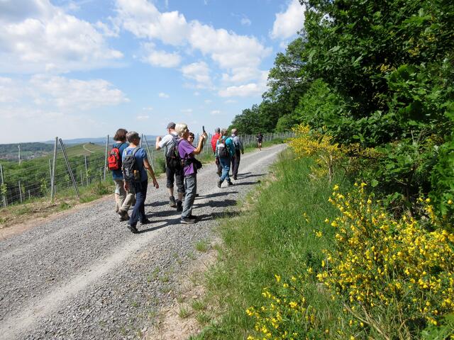 Schotter, wo vorher Wiese war, aber eine tolle Aussicht zum Staufenberg