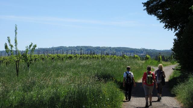 Und dann wieder eng an den Hang geschmiegte Wege mit Blick bis zur Löwensteiner Burg und zum Stocksberg