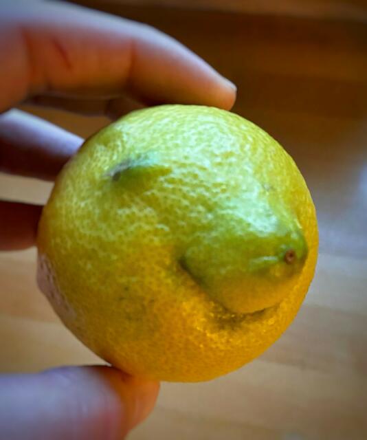 "Auch wenn Du sauer bist - Keep on smiling!" :-)