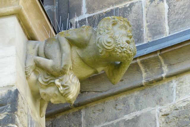 Wasserspeier St. Peter 5