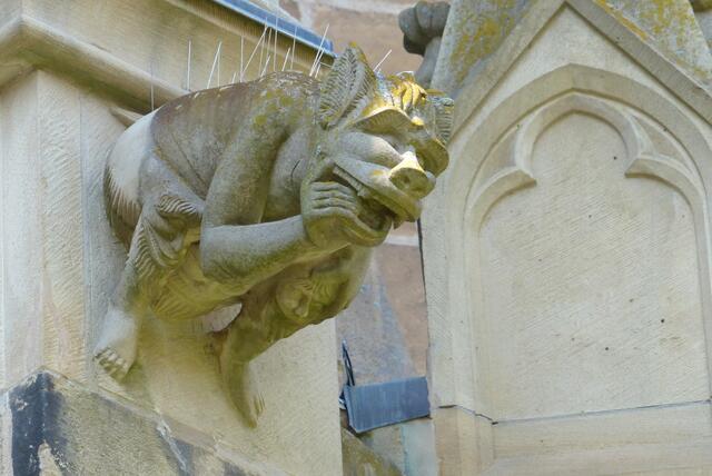 Wasserspeier St. Peter 3