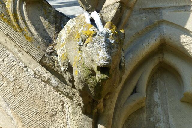 Wasserspeier St. Peter 1