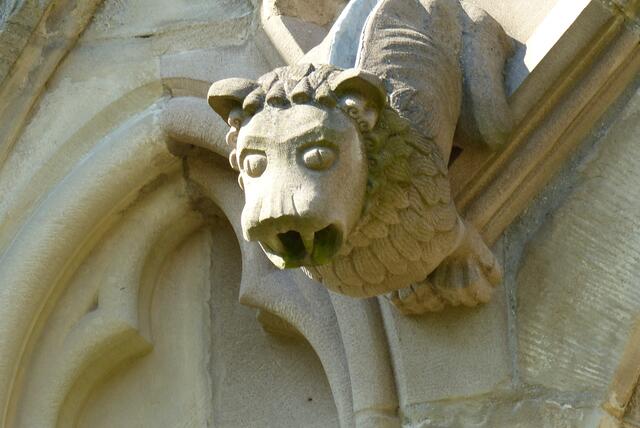 Wasserspeier St. Peter 2