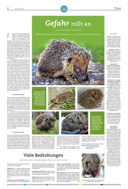 Die Tierseite im Magazin der Zeitung vom 21. Mai zeigt die Gefahren für die stacheligen Gesellen auf.