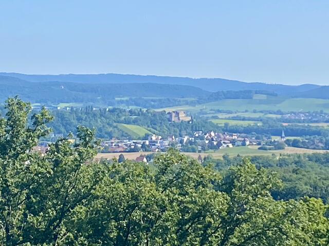 Ausblick vom Schweinsberg Turm