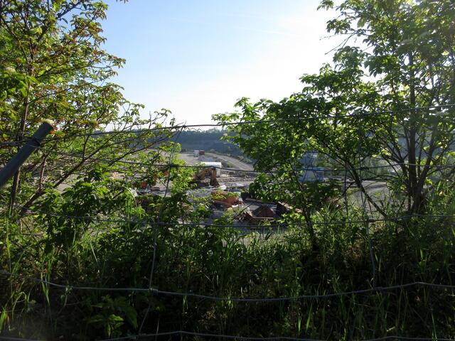 Auf dem Hinweg, der mit ca. 3 km weit unter einer Stunde geschafft war, versuchte man wieder eine Blick in das Gelände