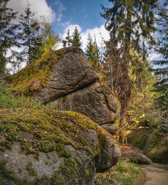 Der letzte Mohikaner