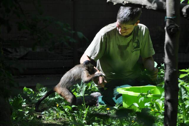 Tierpflegerin bei der Arbeit | Foto: Daniela Somers