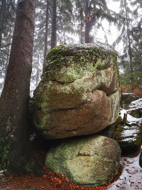 Morla aus der Unendlichen Geschichte
