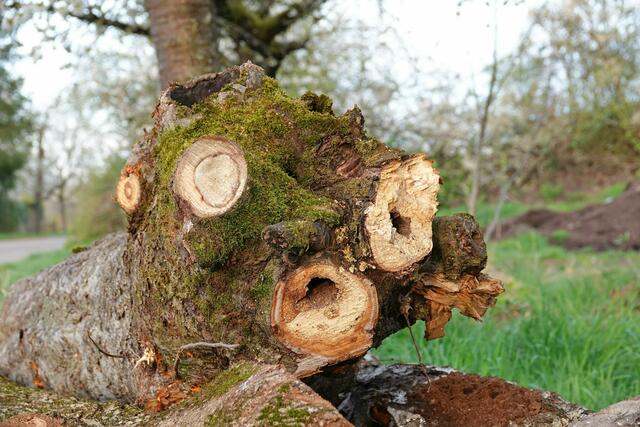 Ooohhh - auf einem Auge blind