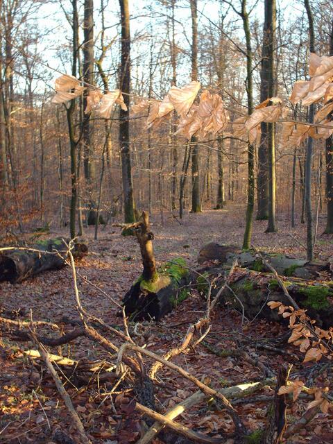 Lieber Abstand wahren ... man weiß ja nie!