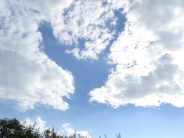 Hier ist sie, die lang ersehnt Friedenstaube am Himmel