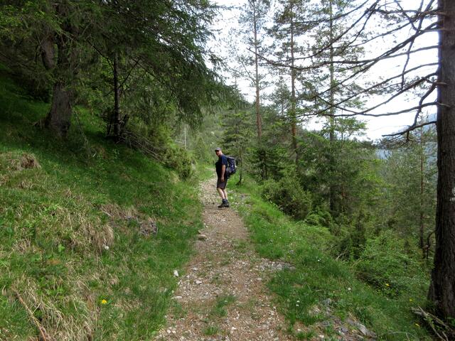 Der Panoramaweg führt hoch und runter mit der Tendenz lechabwärts