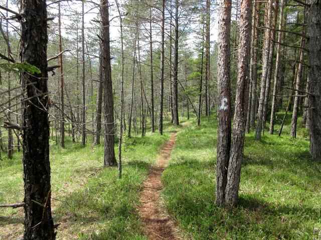 Immer wieder anders und das wechselhafte Wetter mit Sonne und Wolken trägt auch dazu bei. Gut ausgeschildert findet man das "L" für den Lechweg ständig.