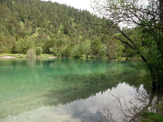 An diesem Baggersee, der zum Baden freigegeben ist, beobachteten wir während einer gemütlichen Pause Blesshuhn und Haubentaucher beim Brüten. Leider zu weit weg, um es noch als gute Bilder einfangen zu können.