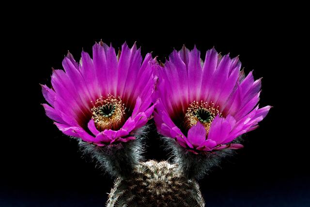 Da war es etwas wolkig