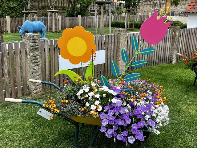 Überall sind diese hübschen Schubkarren zu finden