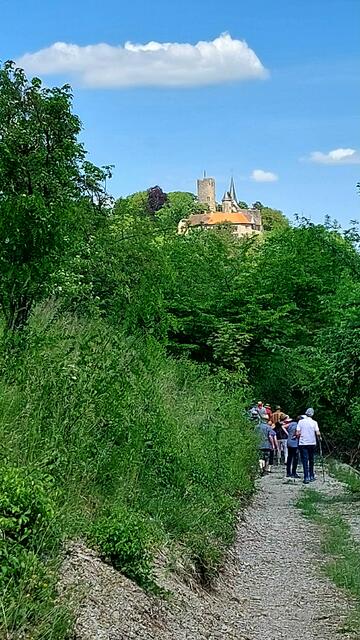 Burg Krautheim in Sicht
