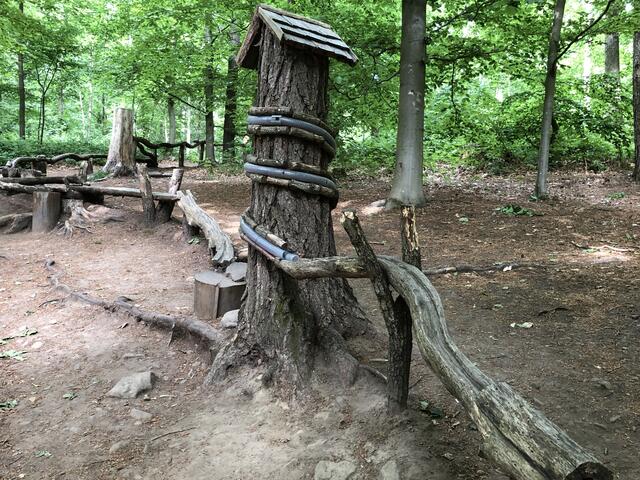 Die Kugelbahn hat sich zur Hauptattraktion des Walderlebnispfads entwickelt. | Foto: Freunde des Waldes