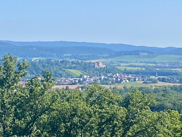 Bei gutem Wetter ist von der Plattform des Schweinsbergturms aus sogar der Stuttgarter Fernsehturm zu erkennen. Hier ist Burg Stettenfels zu sehen. | Foto: Heide Böllinger