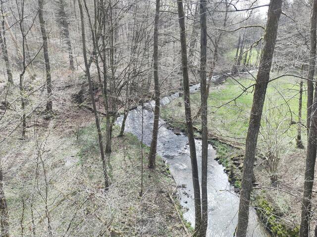 Entlang der Elz