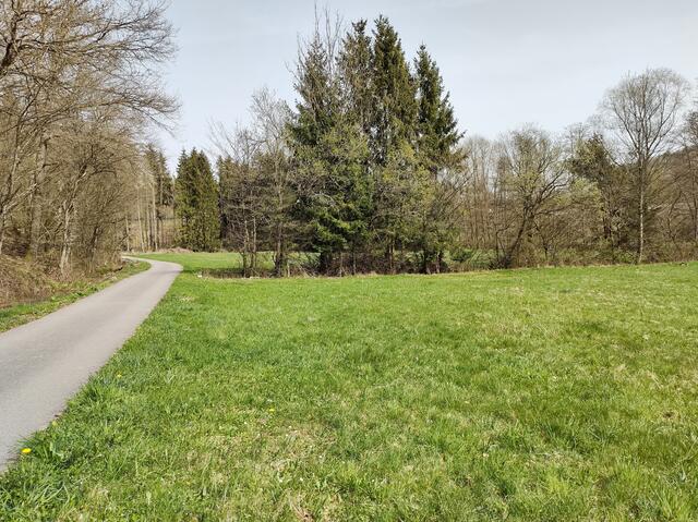 Herrliche Strecke durch das Elztal